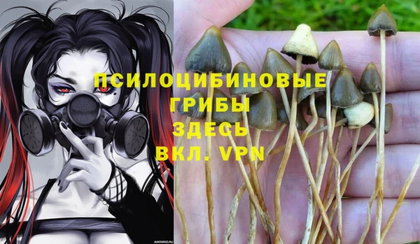 трава Бежецк