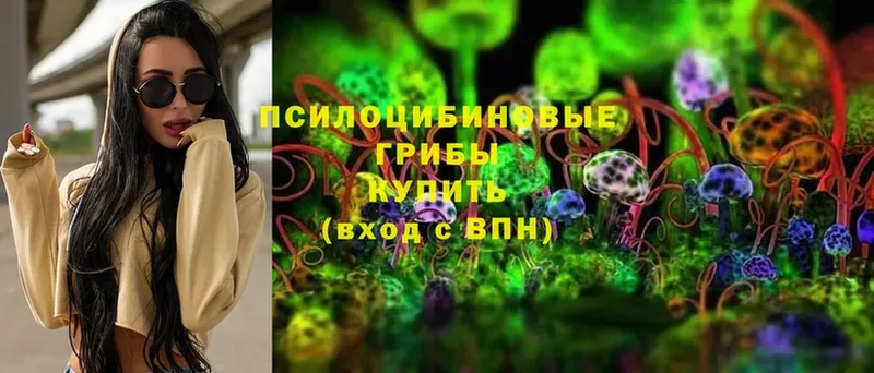 даркнет сайт  Арамиль  Галлюциногенные грибы Psilocybine cubensis 